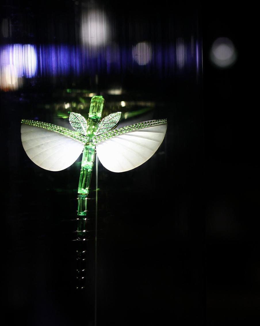 Бабочки летят на свет в Государственном историческом музее