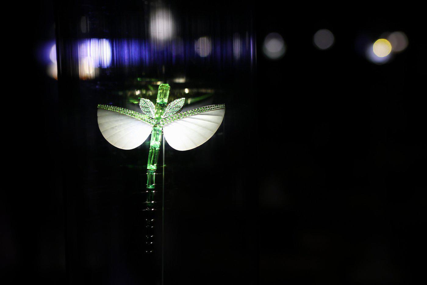 Лети, как мотылёк: ювелир Ильгиз Фазулзянов сравнил человека и бабочку