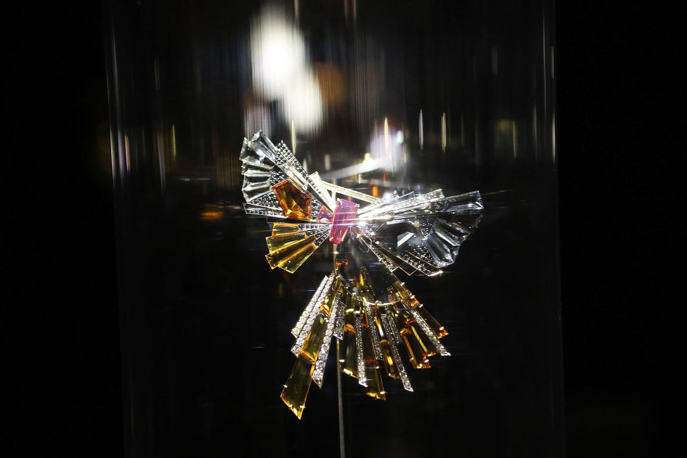 Бабочки на выставке постепенно приобретают всё более абстрактную форму.