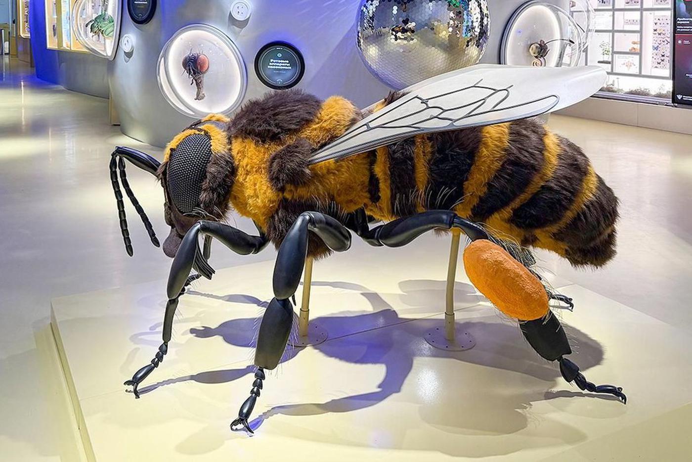 Первая в России публичная энтомологическая лаборатория открылась в "Биокластере"