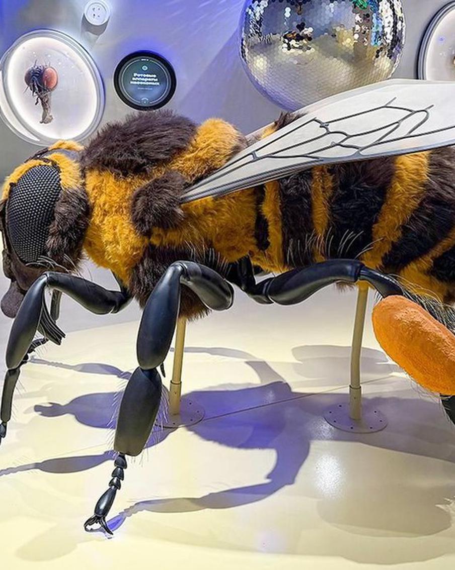 Первая в России публичная энтомологическая лаборатория открылась в "Биокластере"