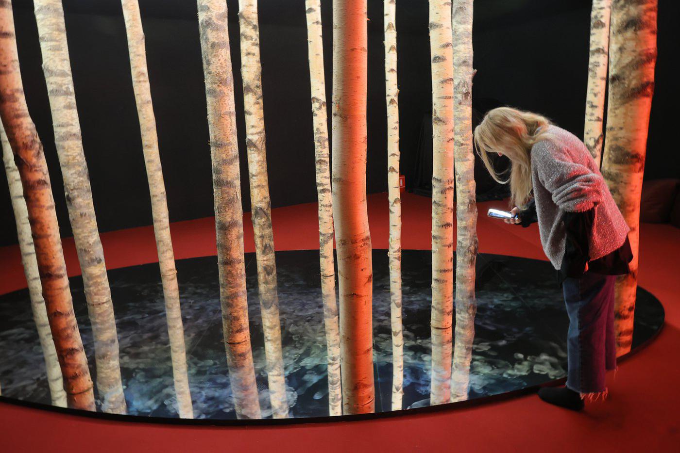 Ещё один вариант прийти в себя – прогуляться по "бесконечному" лесу.