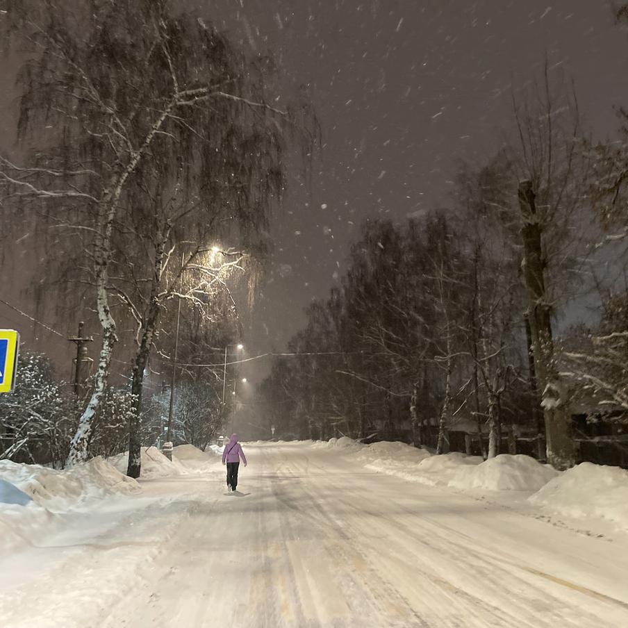 В Москве на следующей неделе пройдут снегопады и наступят морозы. С понедельника в столице выпадет мокрый снег, а к середине недели температура опустится до минус 14 градусов, сообщает синоптик Евгений Тишковец
