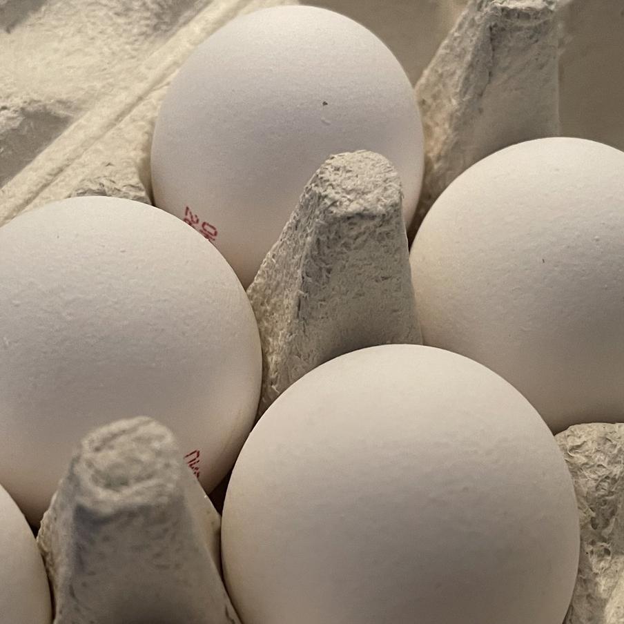 Владимир Путин объяснил рост цен и подорожание еды. Президент ответил на вопрос о дороговизне продуктов и пояснил, почему личные траты часто расходятся с официальной статистикой инфляции