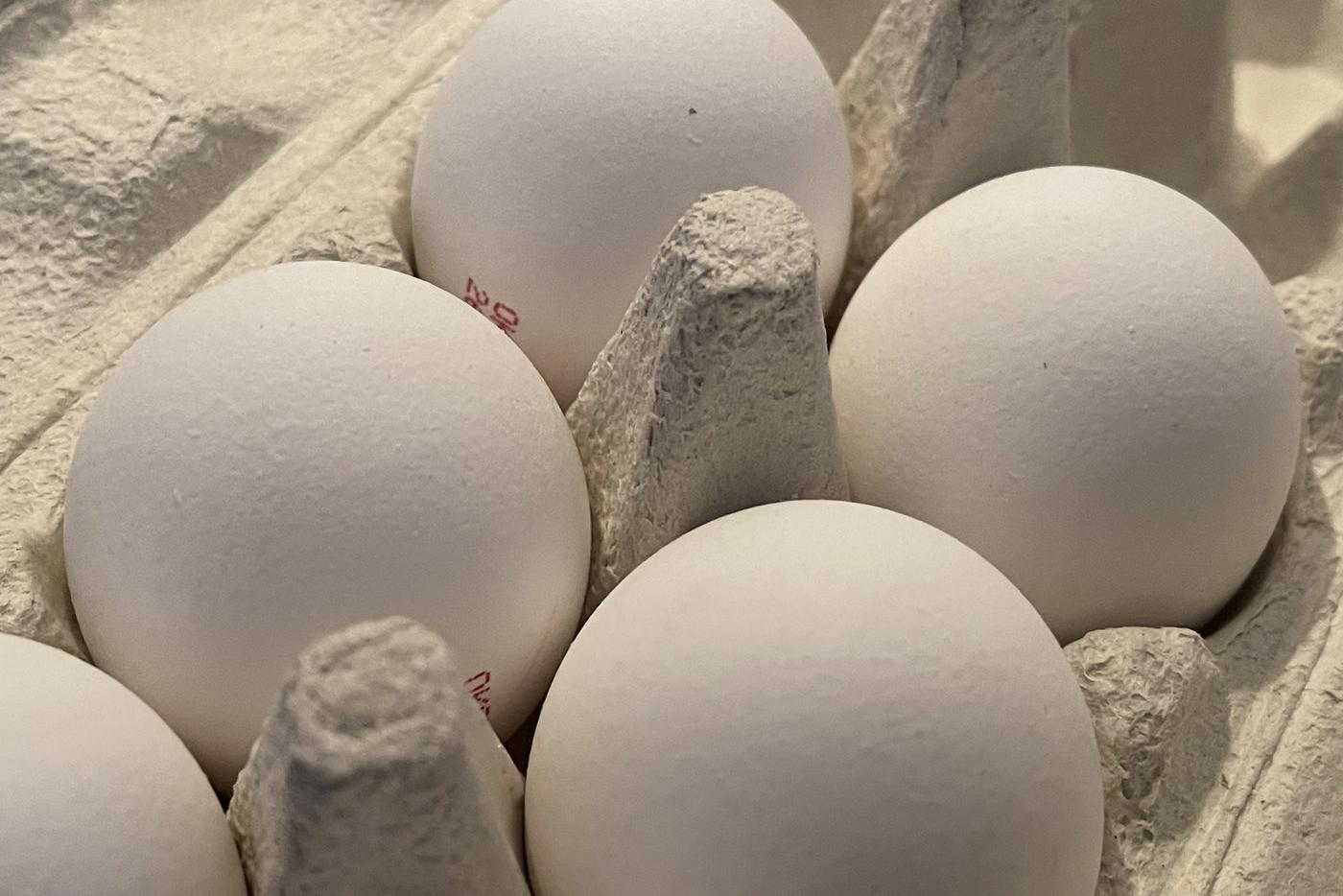 Почему растут цены на продукты в России: ответ Путина