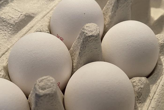 Почему растут цены на продукты в России: ответ Путина