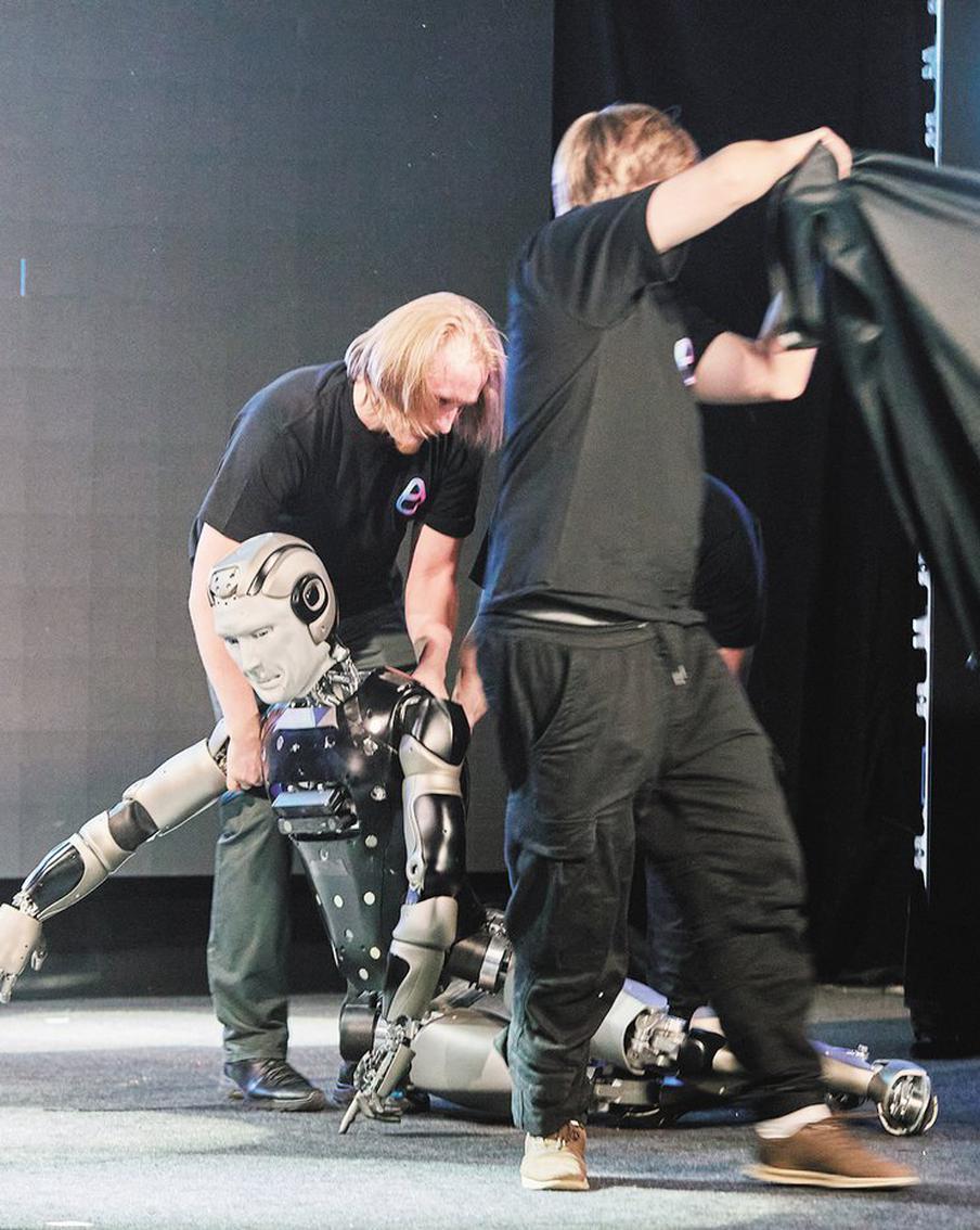 Сумоисты в Третьяковке, падающий робот, пёс-критик: лучшие фото Metro 2025 года