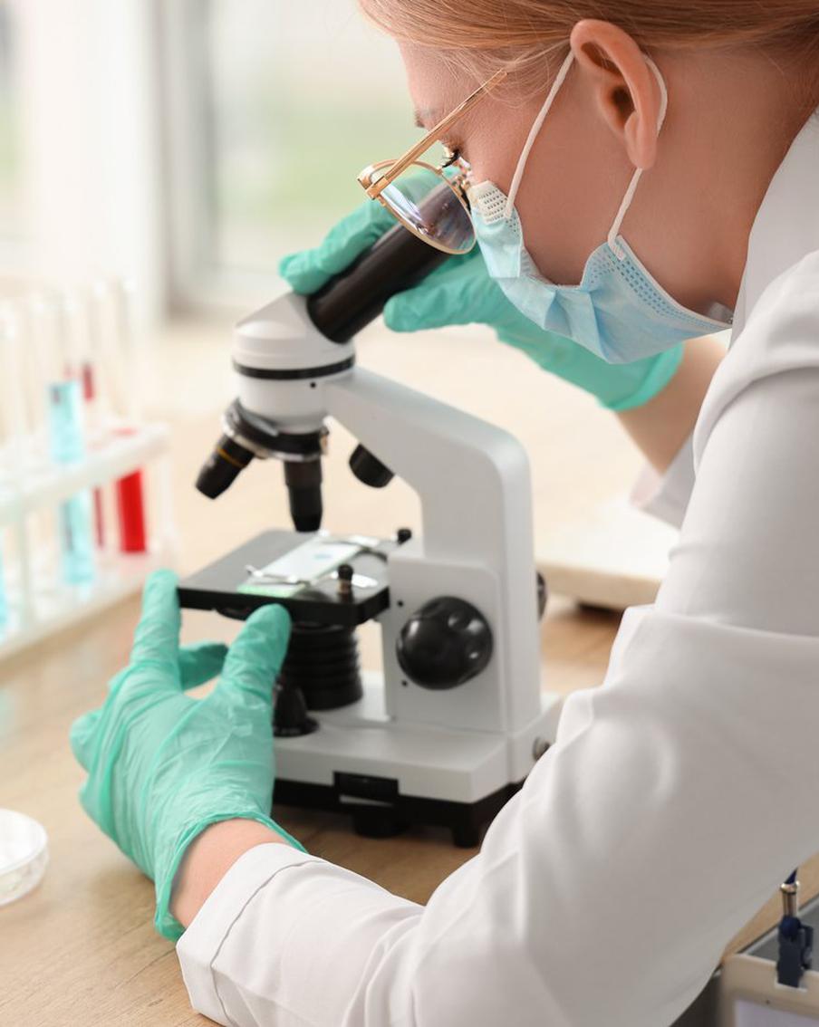 Мышиная лихорадка в России показала рост в 2025 году