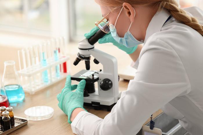 Мышиная лихорадка в России показала рост в 2025 году