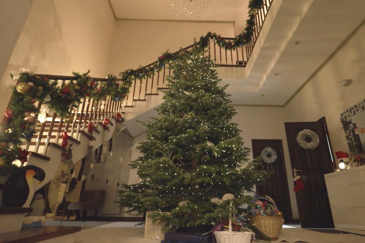 В холле хозяева расположили пушистую ёлку.