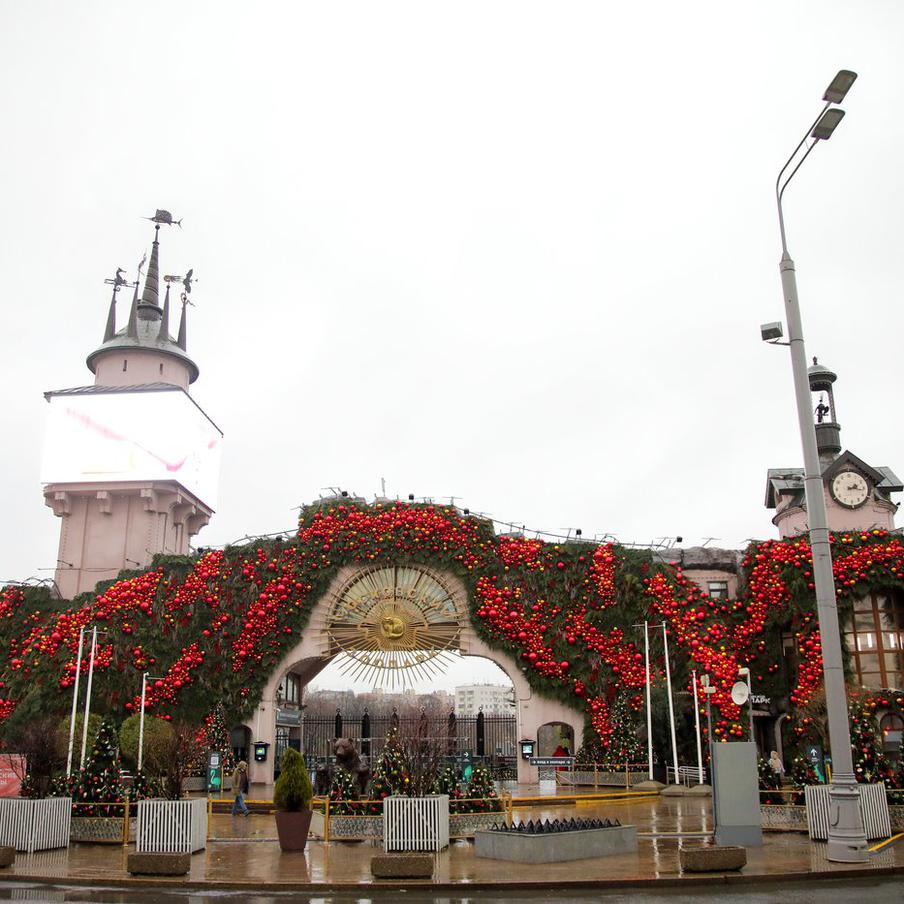 В Московском зоопарке появились ехидны и полосатый кускус. Московский зоопарк сообщает о пополнении своих рядов двумя удивительными существами: ехиднами и полосатым кускусом. Как сообщается на официальном портале правительства Москвы, эти животные были доставлены в экспериментальный отдел мелких млекопитающих