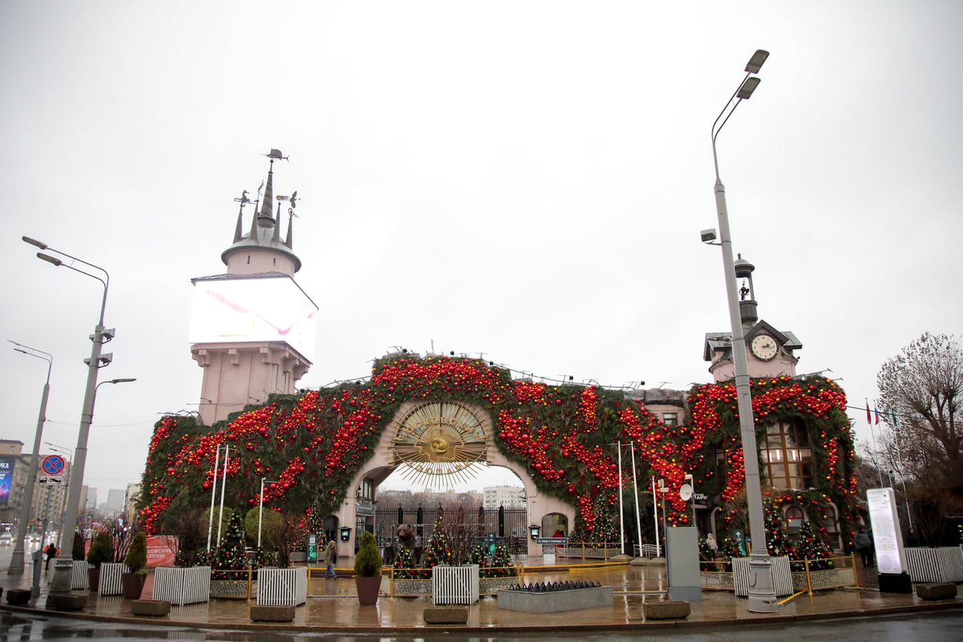 В Московском зоопарке появились ехидны и полосатый кускус