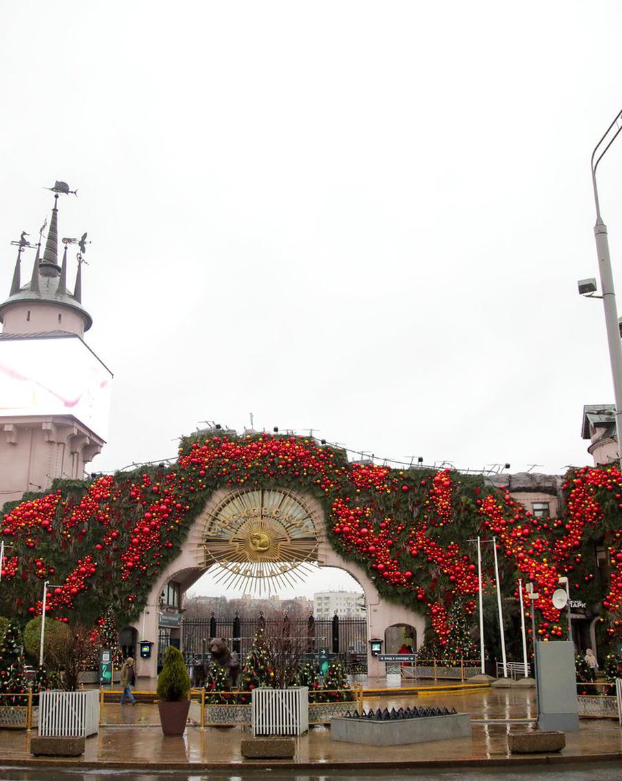 В Московском зоопарке появились ехидны и полосатый кускус. Московский зоопарк сообщает о пополнении своих рядов двумя удивительными существами: ехиднами и полосатым кускусом. Как сообщается на официальном портале правительства Москвы, эти животные были доставлены в экспериментальный отдел мелких млекопитающих