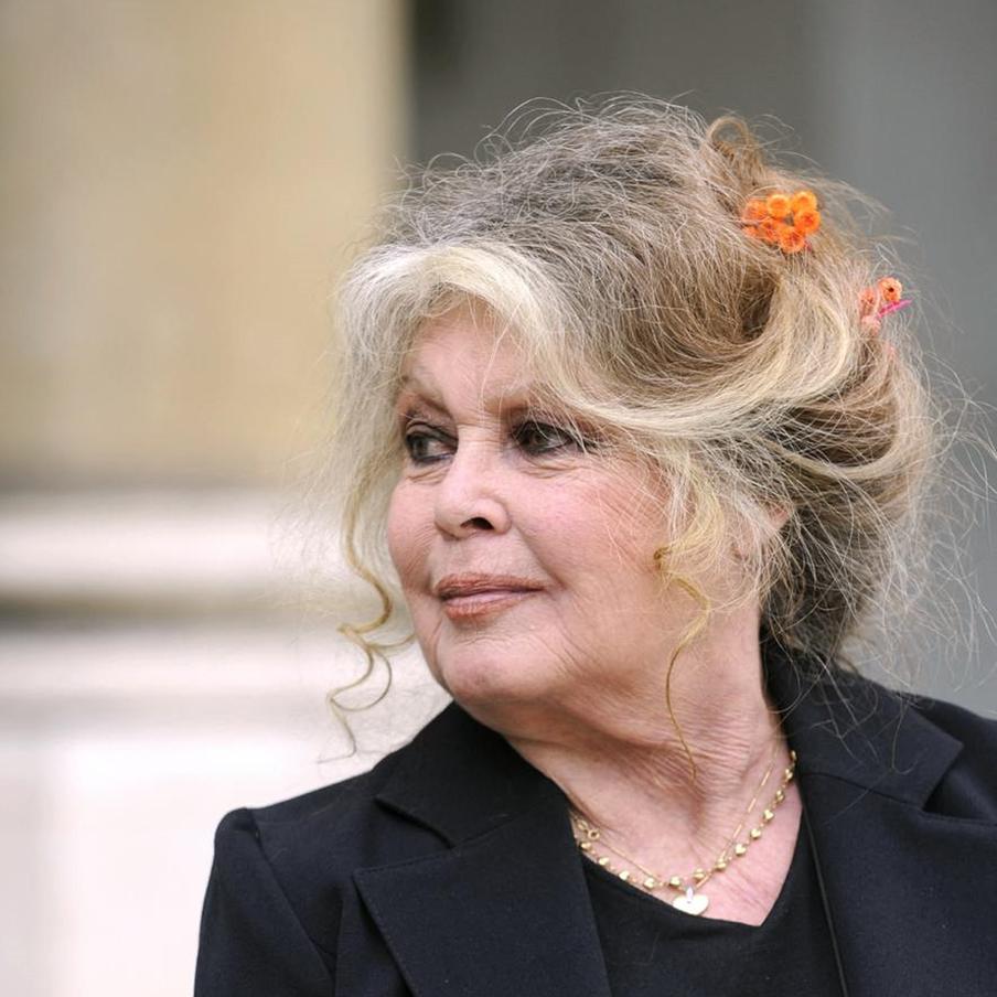 Макрон назвал Бардо "легендой века". Президент Франции Эмманюэль Макрон выразил свои искренние соболезнования в связи с кончиной легендарной актрисы и певицы Брижит Бардо, назвав её настоящей легендой своего времени