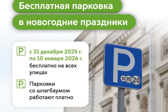 Максим Ликсутов: парковаться в Москве в новогодние праздники можно будет бесплатно