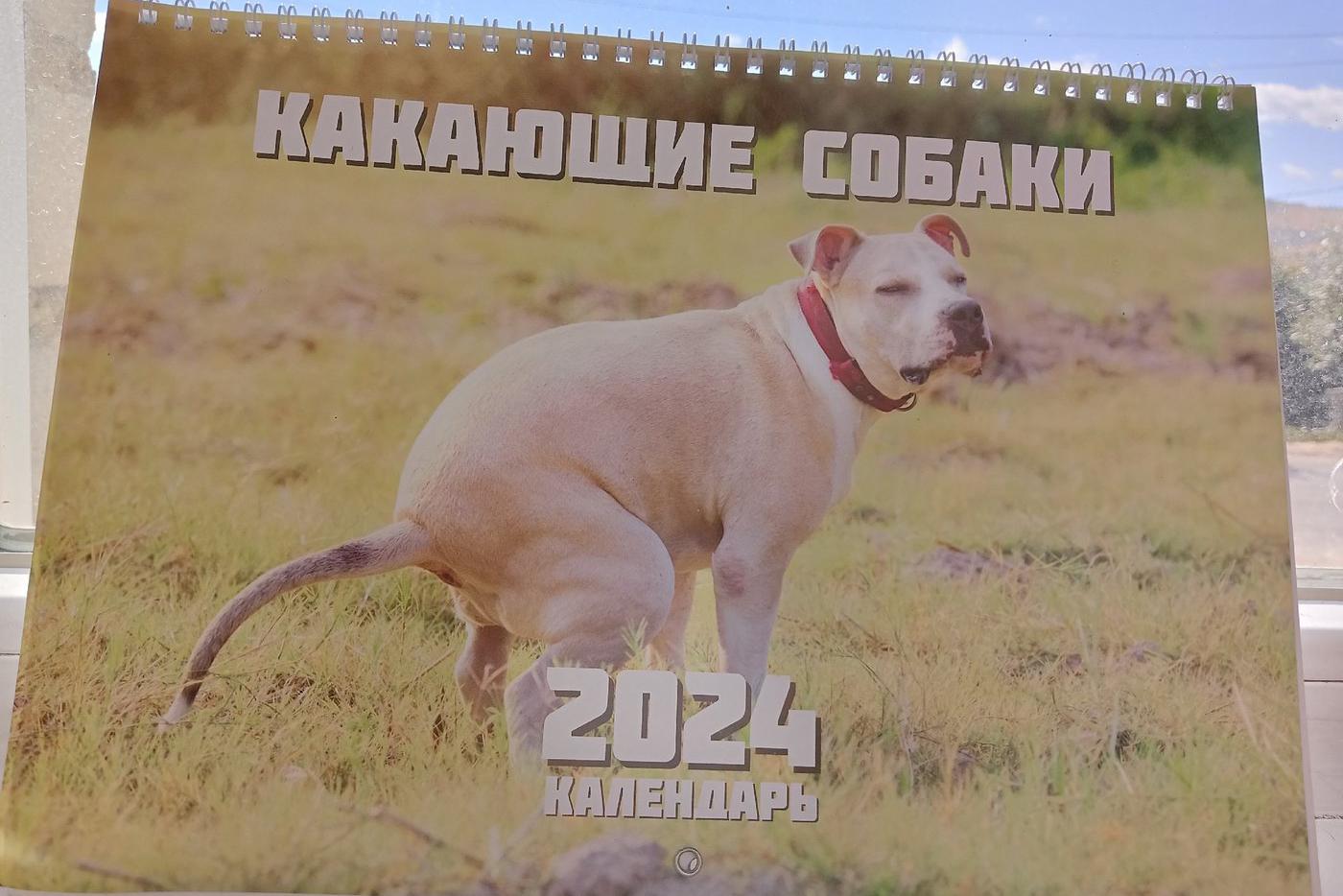 Рискнули бы подарить такой?