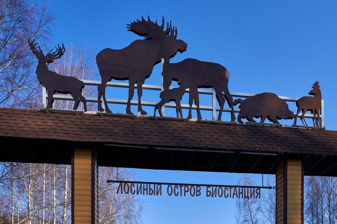 Лосиный остров.