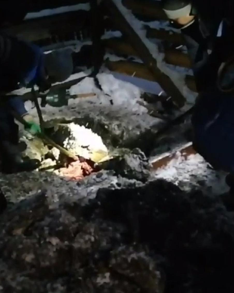 Тела жертв Богородского маньяка найдены в компостной яме и колодце