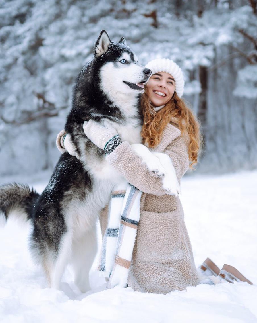 Адвент-игры: 10 весёлых заданий вашей собаке на новогодних каникулах