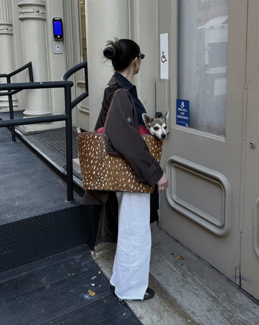 Рисунок можно воплотить как в одежде, так и в аксессуарах.