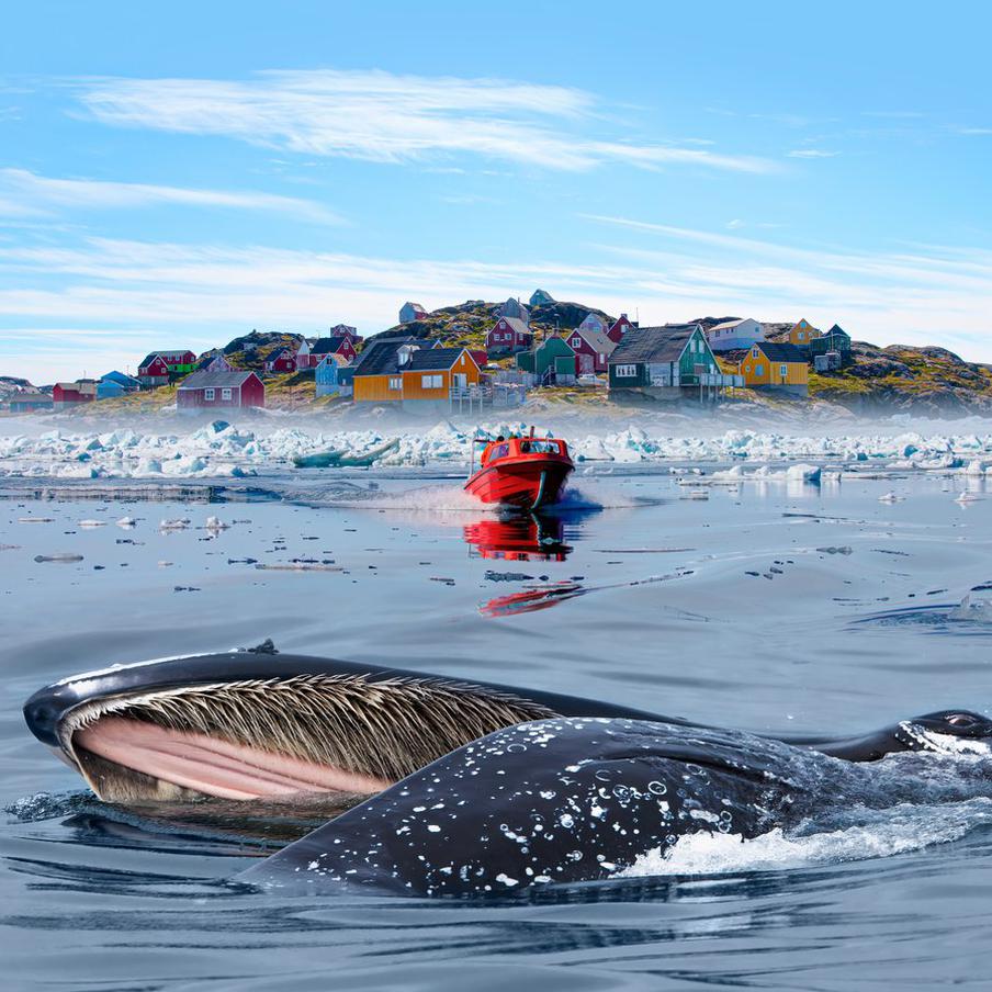 Европа ответила США на заявления о Гренландии. Крупнейшие страны Европы выступили с совместным заявлением после слов американских политиков о необходимости контроля над Гренландией и напомнили о принципах суверенитета и международного права