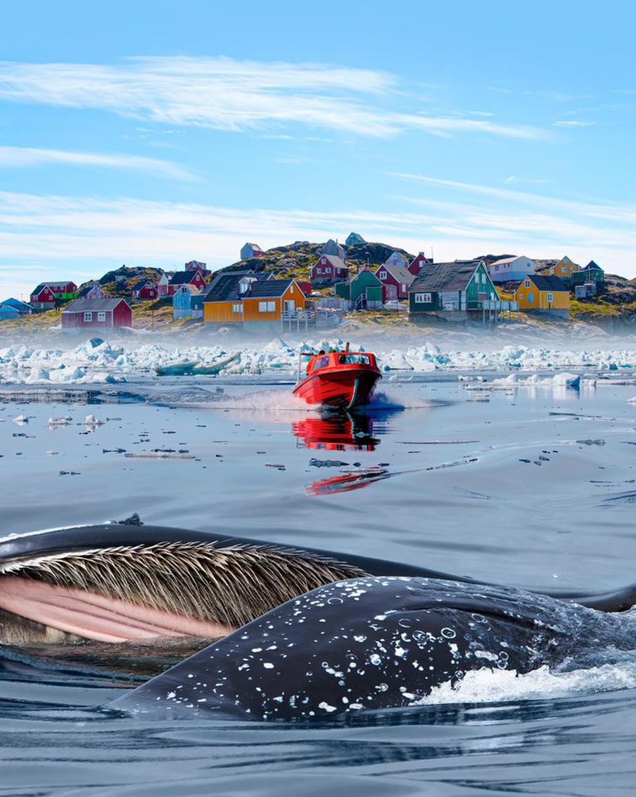 Какую позицию заняли европейские страны по Гренландии