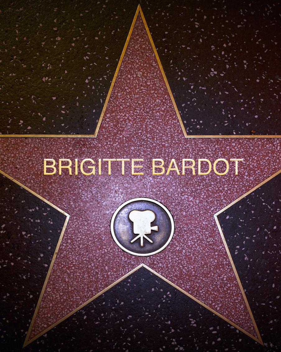 Муж Брижит Бардо сообщил, что актриса скончалась от онкологического заболевания. Бернар Д'Ормаль рассказал, что Брижит Бардо ушла из жизни после борьбы с раком, перенёсши несколько операций и долго страдая от сильных болей