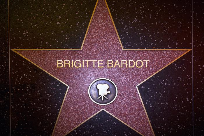 Муж Брижит Бардо назвал причину смерти актрисы
