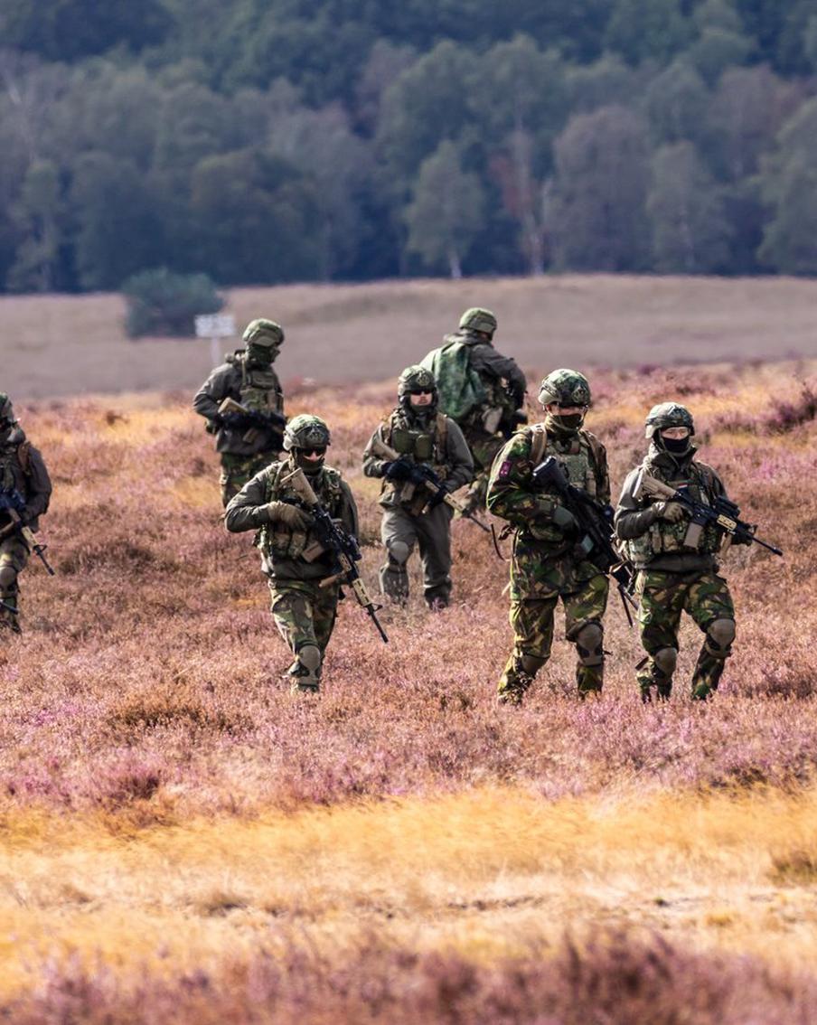В Дании ответили на угрозы Дональда Трампа присоединить к США Гренландию. Датские военные рассказали, как планируют отвечать на возможную агрессию со стороны американских коллег при попытке США захватить Гренландию. Отмечается, что ВС Дании планируют разбираться уже после отражения атаки противника