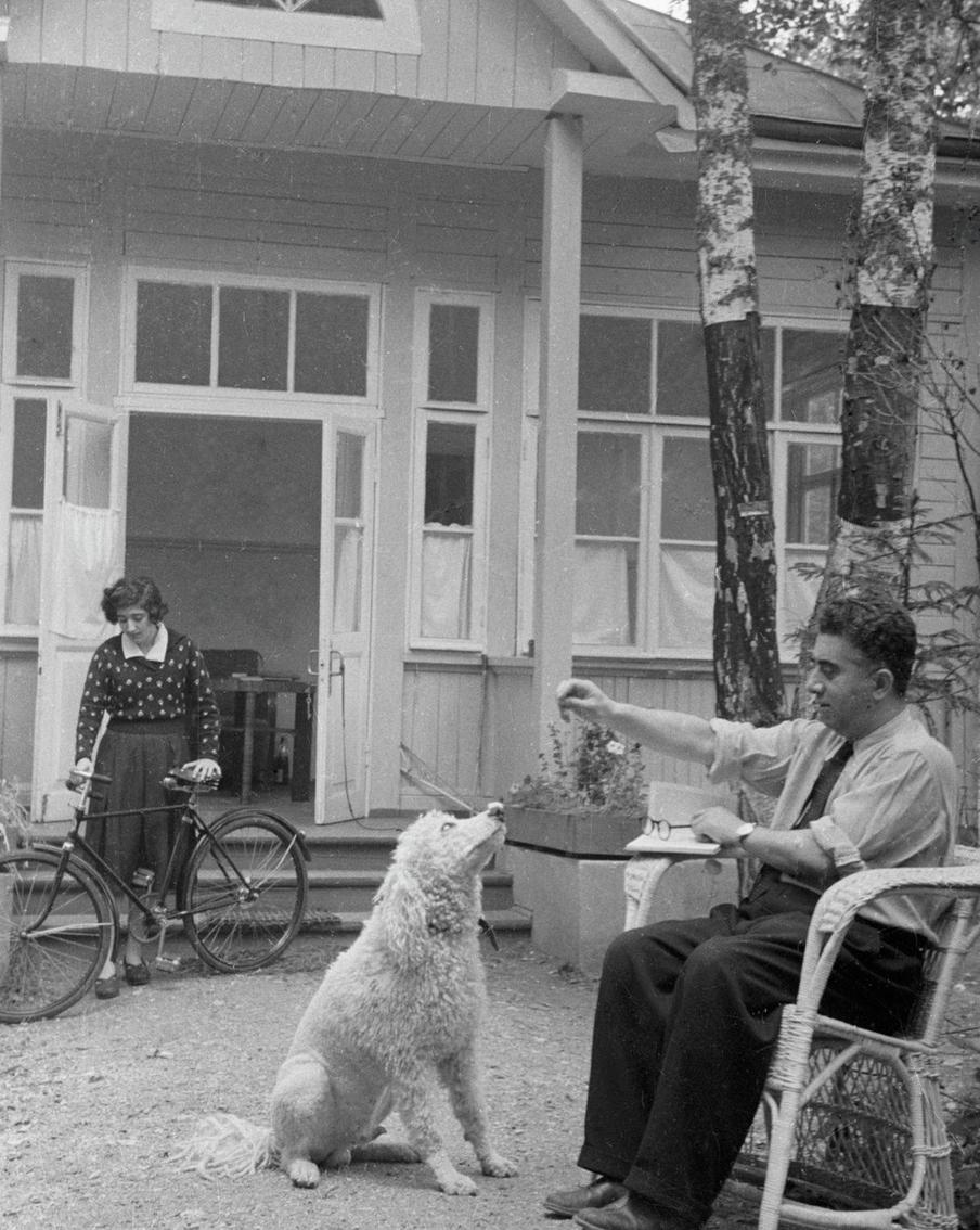 Композитор Арам Хачатурян и его пудель Лядо показывают трюк с кусочком сахара. 