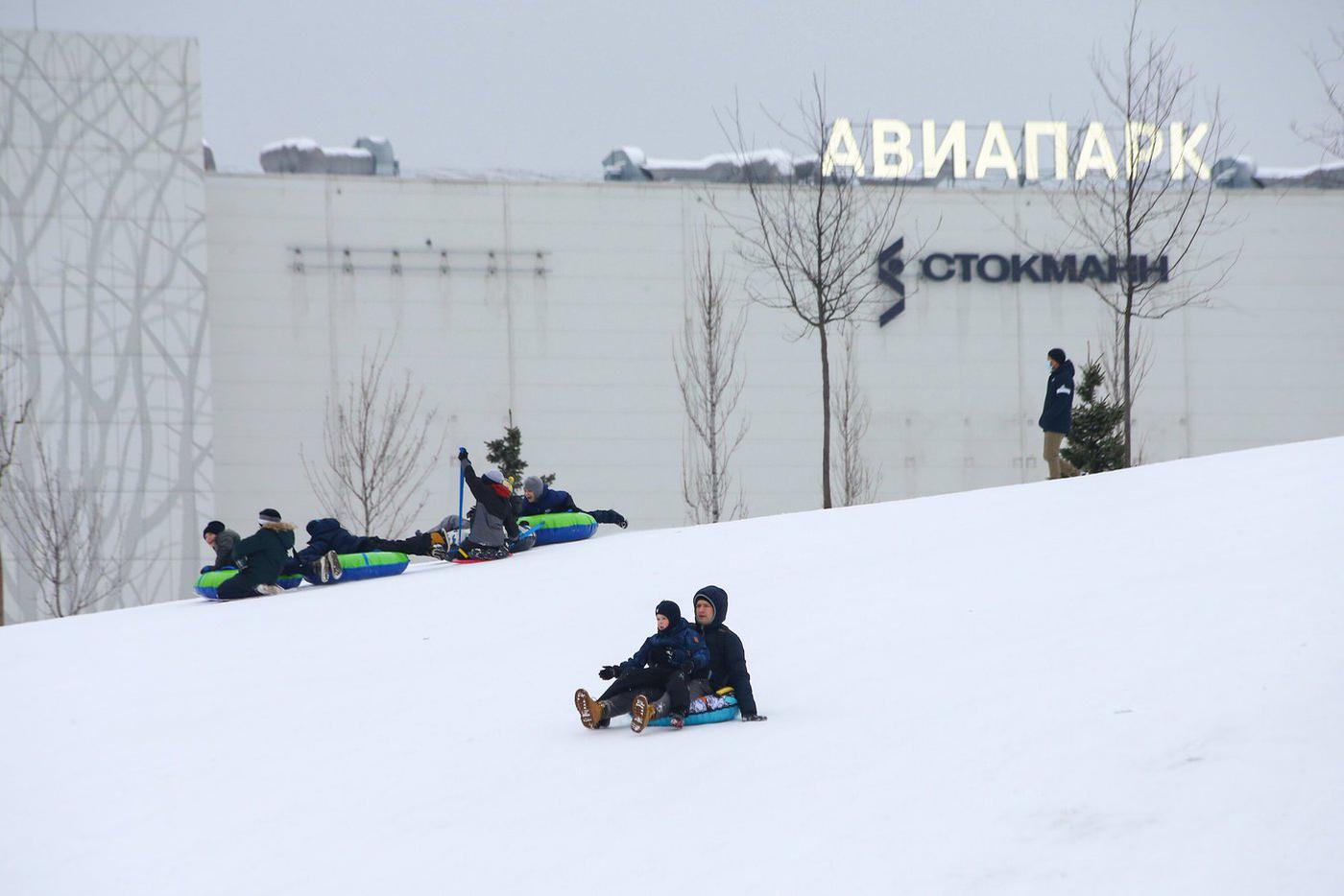 Попадающие в сетку птицы остаются целы и невредимы — ТЦ "Авиапарк"