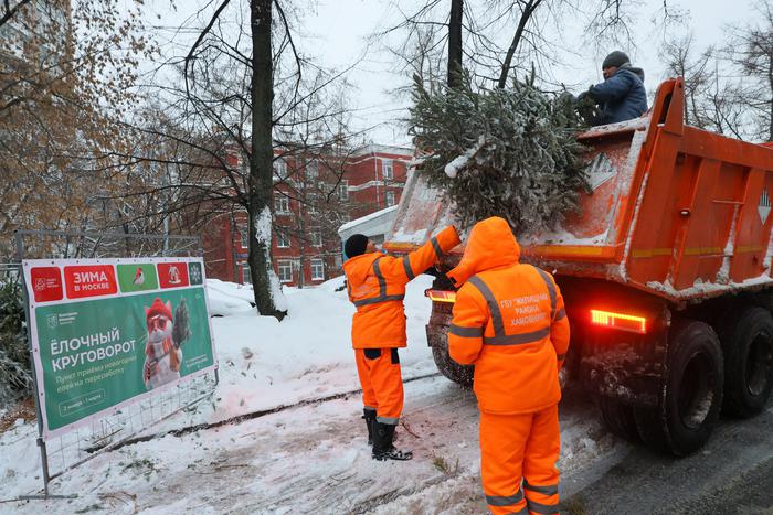 Москвичи поделились мнением, что они думают об экоточках для новогодних ёлок