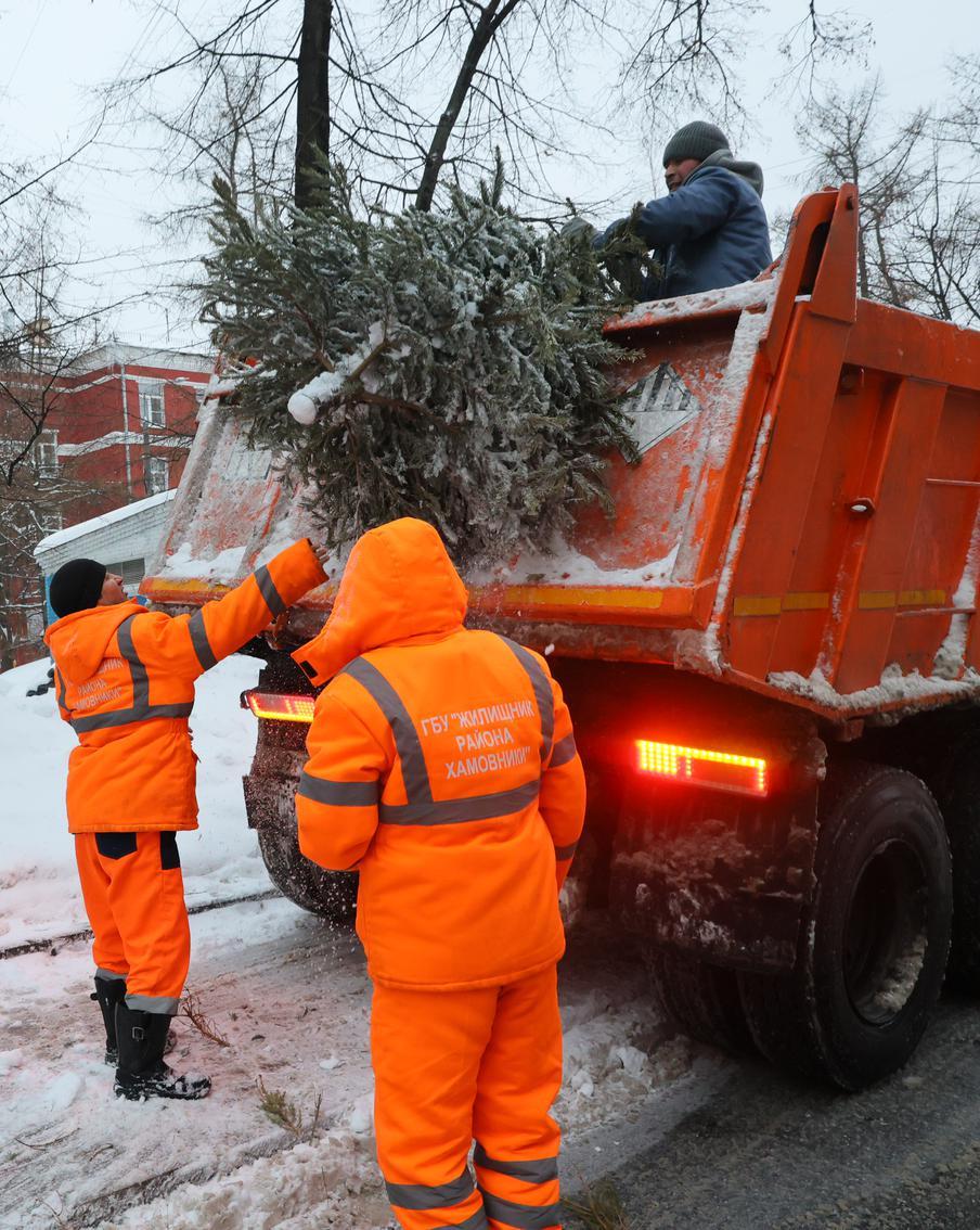 Москвичи поделились мнением, что они думают об экоточках для новогодних ёлок