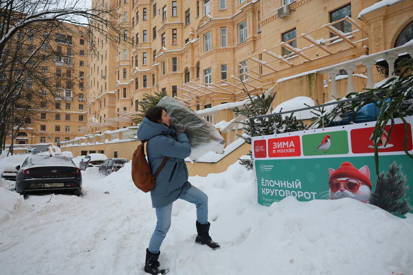 Некоторые мамы покупают живые ёлки для детей. 