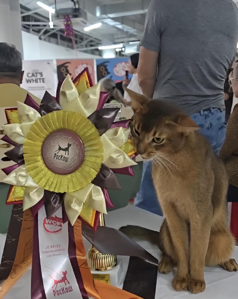 Далмоша, как настоящий чемпион, проверяет награду на прочность, прикусывая её словно золотую медаль.