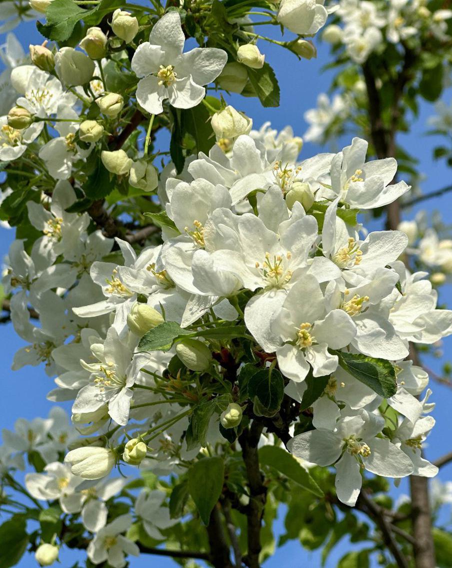 Жителям столичного региона пообещали ранний приход весны в Москву. Из-за мягкой погоды в феврале весна проявит себя на улицах столицы заметно раньше обычного. Кроме того, февральские и мартовские температуры будут значительно выше нормы