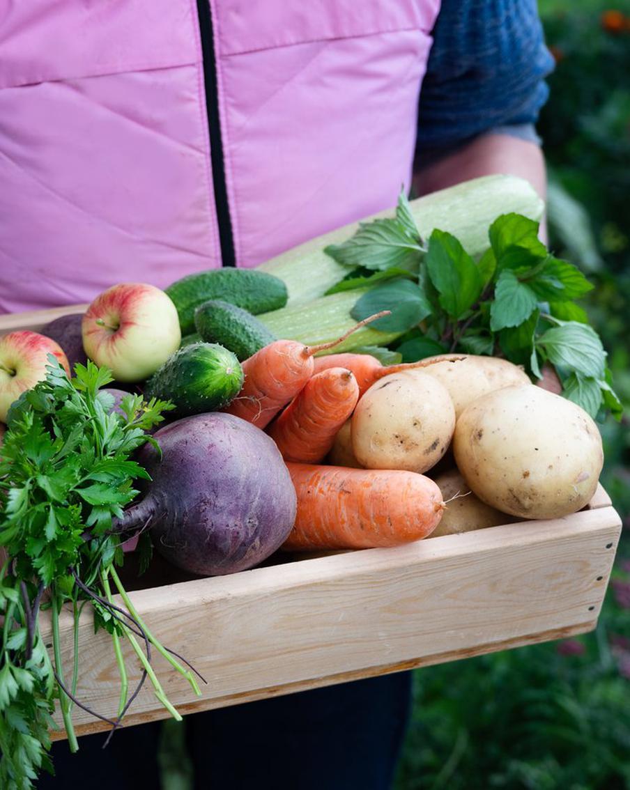 Росфинмониторинг позволит террористам и экстремистам торговать овощами. Федеральная служба финансового мониторинга Российской Федерации (Росфинмониторинг) подготовила проект постановления, который должен расширить перечень разрешённых источников дохода для граждан, включённых в списки экстремистов и террористов