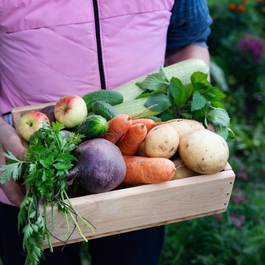 Росфинмониторинг позволит террористам и экстремистам торговать овощами. Федеральная служба финансового мониторинга Российской Федерации (Росфинмониторинг) подготовила проект постановления, который должен расширить перечень разрешённых источников дохода для граждан, включённых в списки экстремистов и террористов