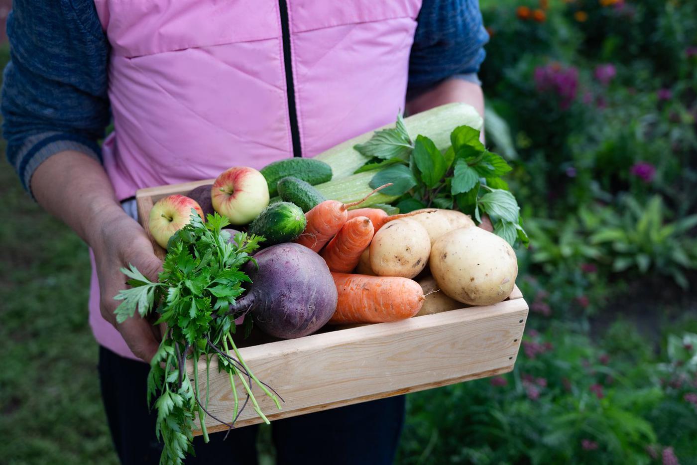 Росфинмониторинг позволит террористам и экстремистам торговать овощами