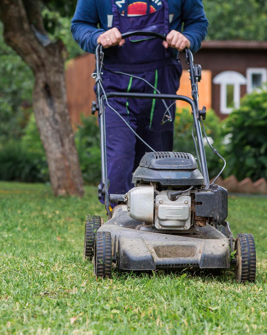 РИА "Новости": в России могут измениться требования к садовым участкам. Правительство Российской Федерации планирует внести изменения в законодательство, регулирующее деятельность садоводческих некоммерческих товариществ (СНТ). Как сообщает РИА "Новости", ссылаясь на документы, с которыми ознакомилось агентство, Росреестр разработал проект поправок к закону о ведении гражданами садоводства и огородничества