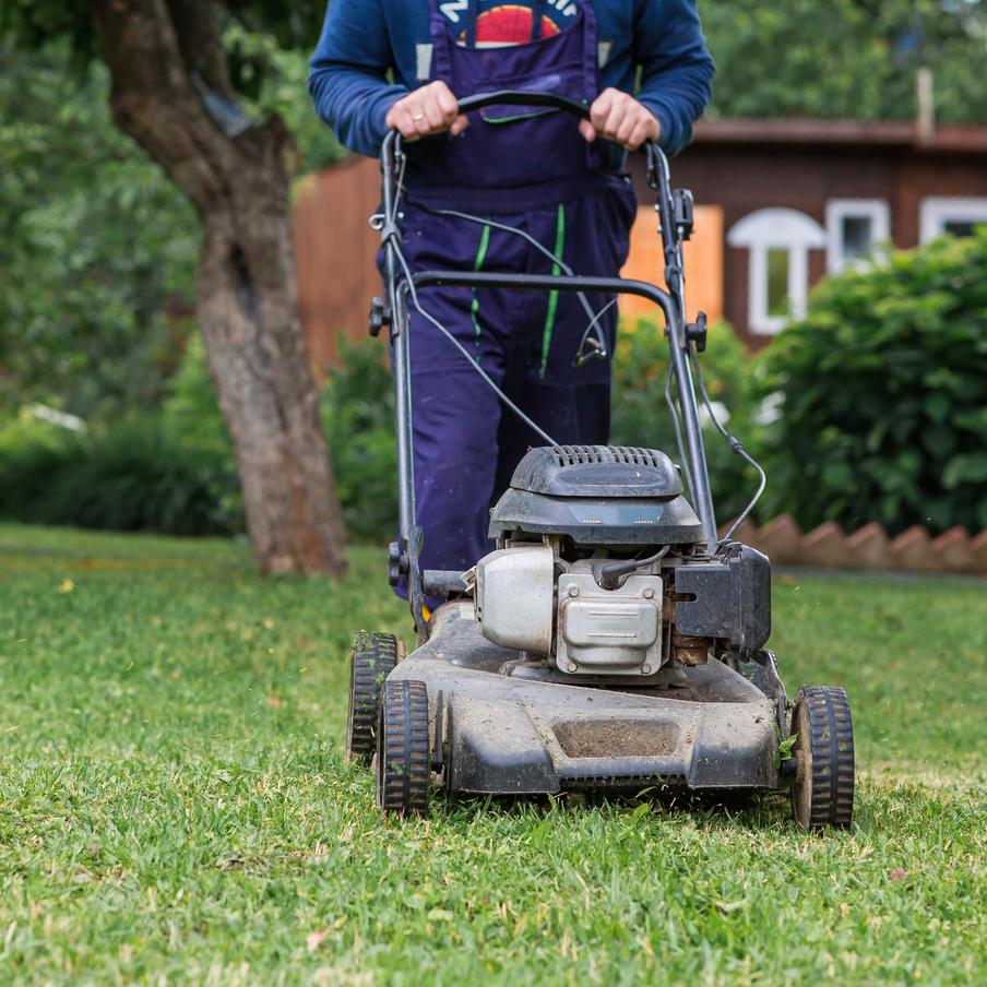 РИА "Новости": в России могут измениться требования к садовым участкам. Правительство Российской Федерации планирует внести изменения в законодательство, регулирующее деятельность садоводческих некоммерческих товариществ (СНТ). Как сообщает РИА "Новости", ссылаясь на документы, с которыми ознакомилось агентство, Росреестр разработал проект поправок к закону о ведении гражданами садоводства и огородничества