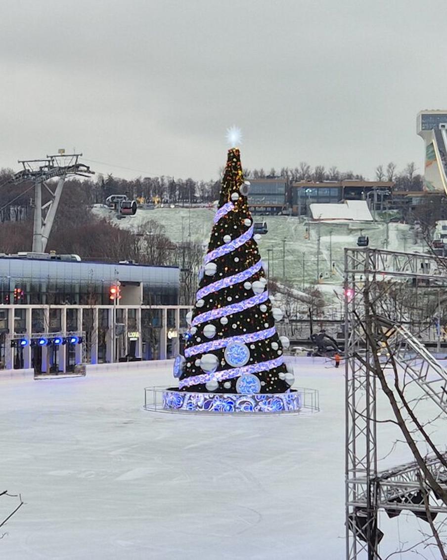 Зимний фестиваль школьного и студенческого спорта пройдет в Москве 24 января