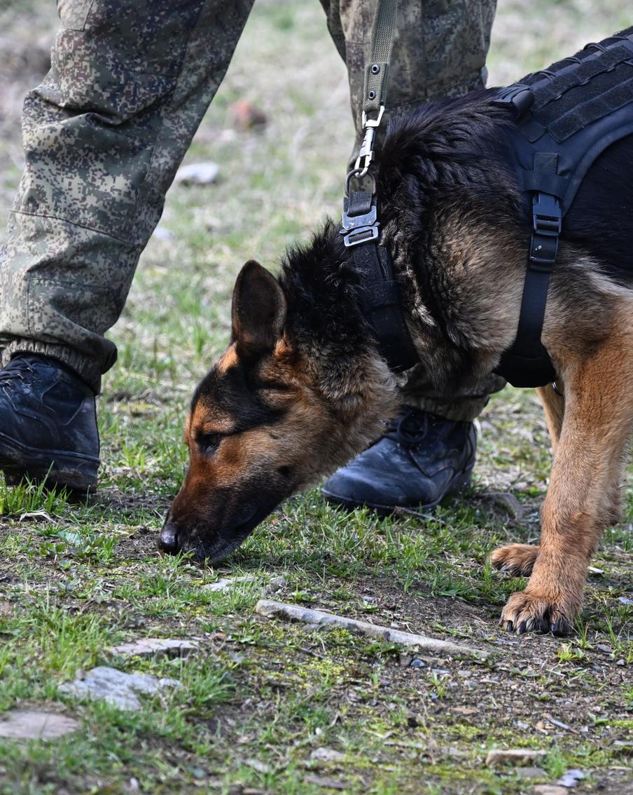 Чем закончились поиски в Красноярске сына бизнесмена Андрея Капли