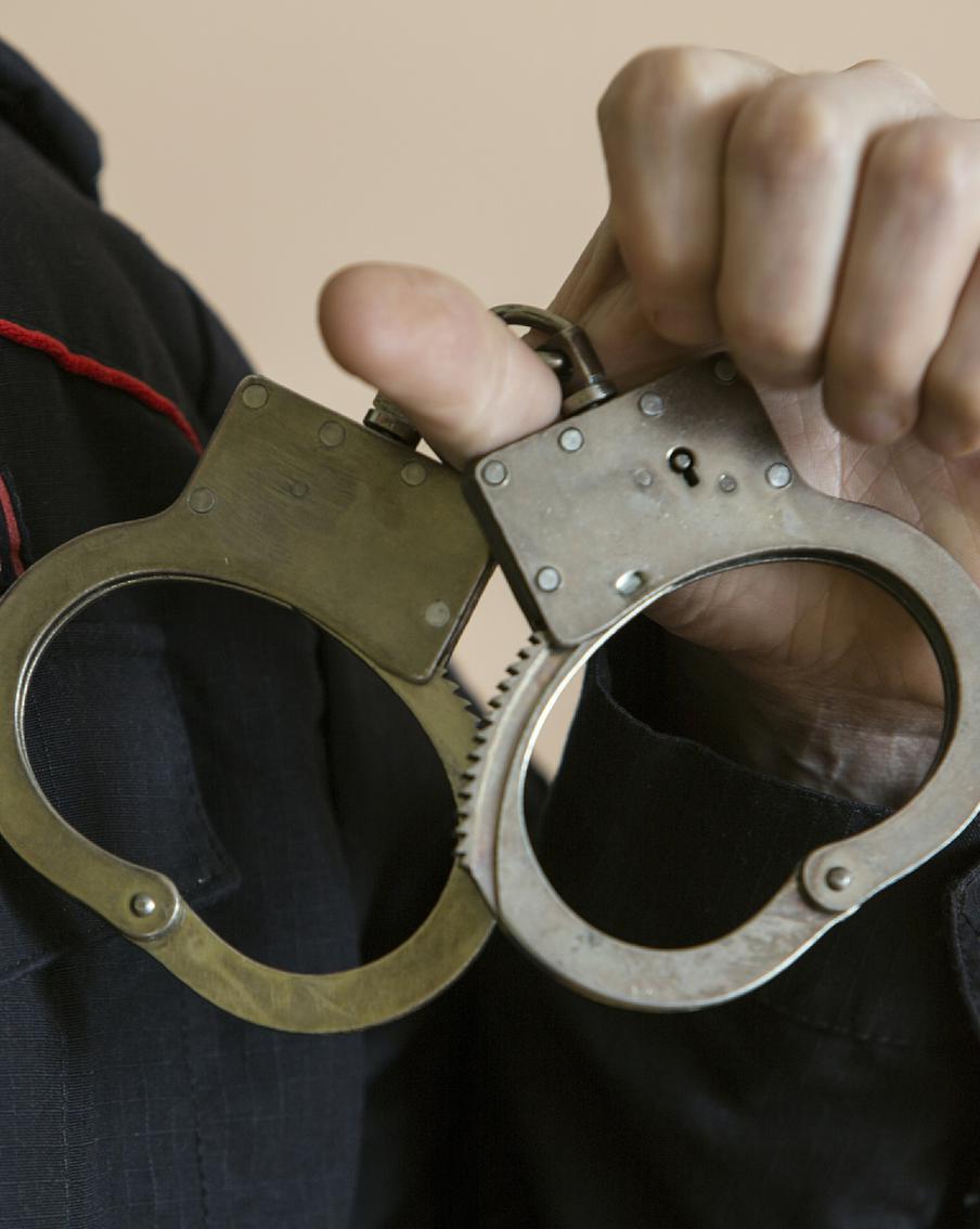 Правоохранители задержали предполагаемую сообщницу похитителей сына бизнесмена Андрея Капли