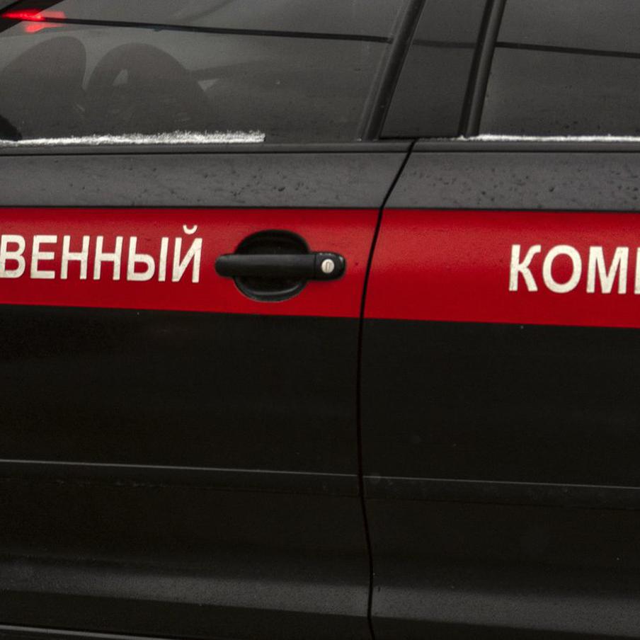 На Кузбассе возбудили уголовное дело после вспышки гриппа в медучреждении. Правоохранительные органы возбудили уголовное дело по факту вспышки гриппа в доме-интернате для страдающих от психических расстройств