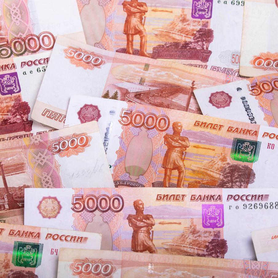 Стало известно, какую сумму получила соучастница похищения Николая Капли. Задержанная в Красноярске 18-летняя девушка, которая сотрудничала с похитителями Николая Капли, могла присвоить себе 30 тысяч рублей из взятых им 3 миллионов