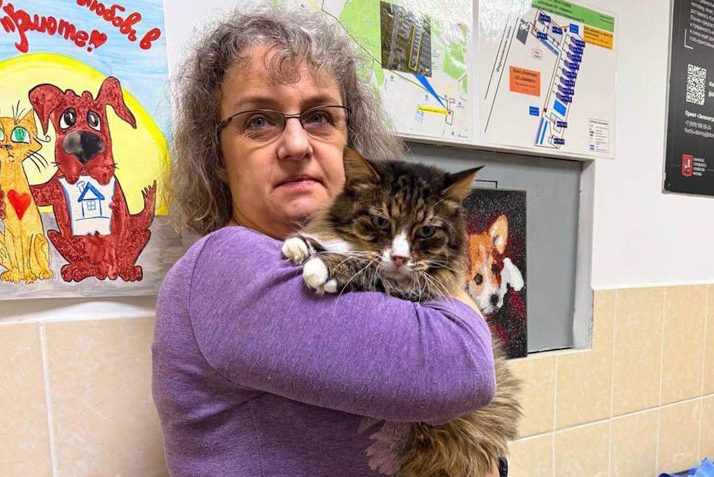 Сервис "Моспитомец" помог жительнице столицы выбрать котов в новогоднюю ночь