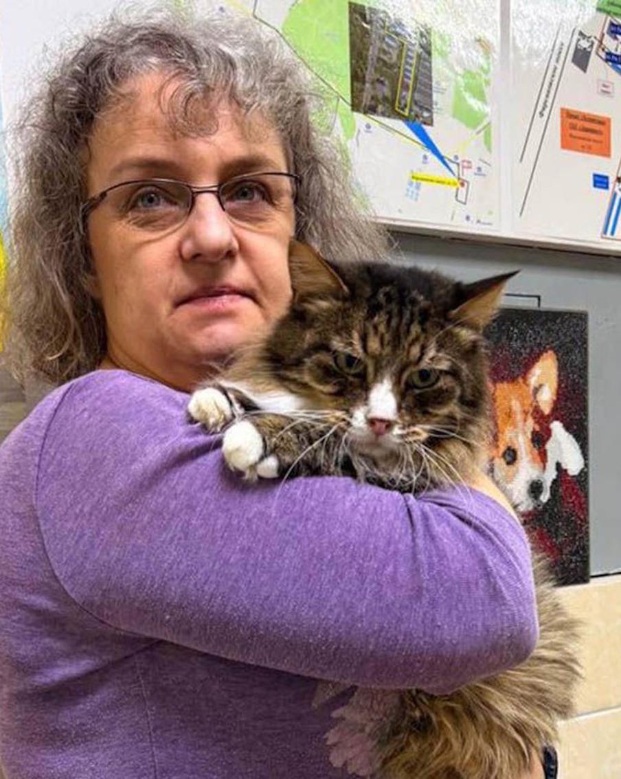 Сервис "Моспитомец" помог москвичке выбрать котов в новогоднюю ночь