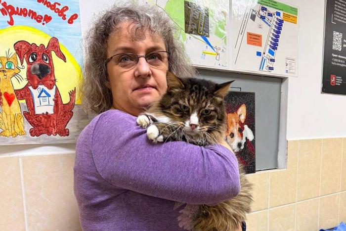 Сервис "Моспитомец" помог москвичке выбрать котов в новогоднюю ночь