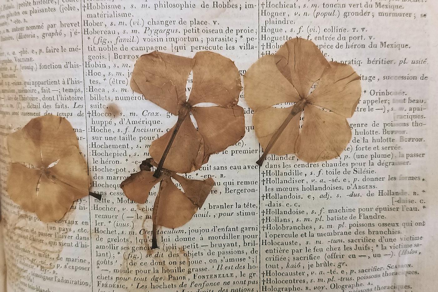 В Москве на выставке показали, что горожане чаще всего забывали в библиотечных книгах